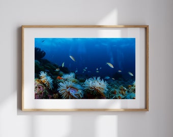 Korallenriff-Kunst-Unterwasserfotografie Ozean-Leben-Wand-Kunst-Geschenk für Ozean-Liebhaber Meeresleben-Kunst für Küstenwand-Dekor Meeresbiologen-Geschenk