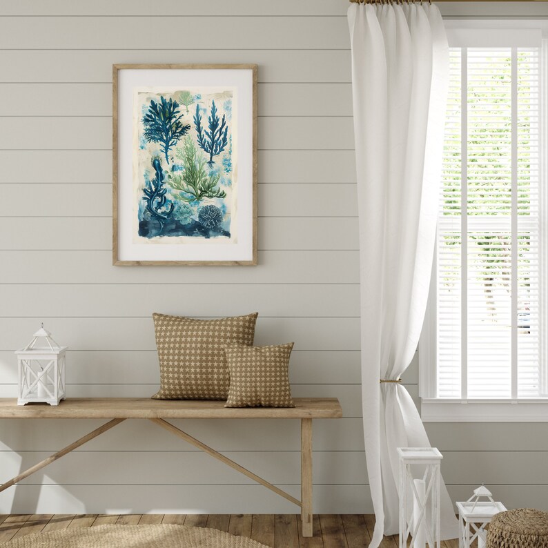 Picture of Seaweed Art for Aquatic Home Decor Ocean-inspired Wall Art for Vintage ...