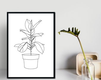 May include: A black and white line drawing of a potted plant with large leaves. The drawing is framed and hanging on a white wall.