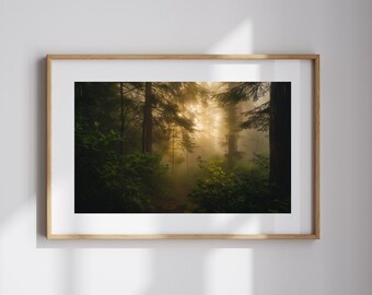 Bosfotografie voor de natuur Woondecoratie Boslandschapskunst Cadeau voor buitenmensen Mistig bos muurkunst Cadeau voor natuurliefhebbers
