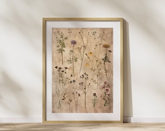 Wildflower Art Antique Botanical Print Vintage Herbarium Book for Nature Lover Gift Botanical Illustrations Botany Print for Plant Lover