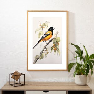 Baltimore Oriole Watercolor Bird Print of Audubon Bird of America Nature-Inspired Artwork Gift for Bird Lover Nature Art for Home Decor