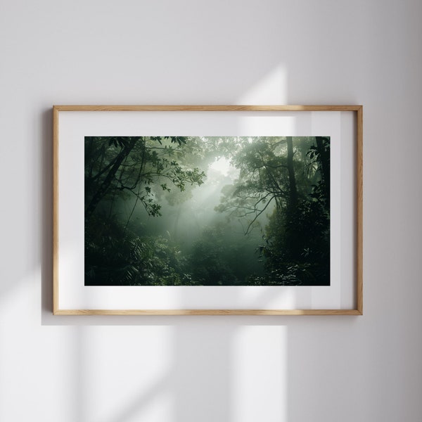 Fotografia della foresta per la decorazione della casa naturalistica Arte del paesaggio forestale Regalo per amanti della vita all'aria aperta Arte murale della foresta nebbiosa Regalo per gli amanti della natura