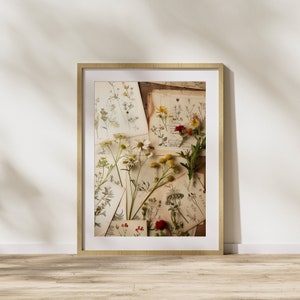 Arte de flores silvestres, impresión botánica antigua, libro de herbario vintage para amantes de la naturaleza, regalo, ilustraciones botánicas, impresión botánica para amantes de las plantas