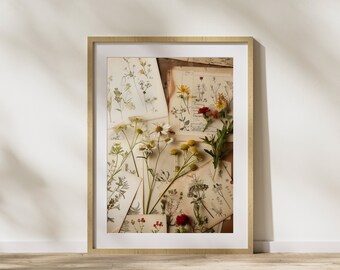 Wildflower Art Antique Botanical Print Vintage Herbarium Book for Nature Lover Gift Botanical Illustrations Botany Print for Plant Lover