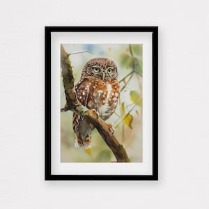 Audubon Sperlingskauz Aquarell Vogel Druck von Audubon Bird of America Natur inspiriertes Kunstwerk Geschenk für Vogelliebhaber Naturkunst für Wohnkultur