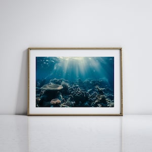 Coral Reef Art Underwater Photography Ocean Life Wall Art Gift for Ocean Lover Marine Life Art for Coastal Wall Decor Marine Biologist Gift