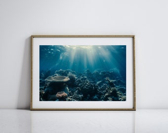 Korallenriff-Kunst-Unterwasserfotografie Ozean-Leben-Wand-Kunst-Geschenk für Ozean-Liebhaber Meeresleben-Kunst für Küstenwand-Dekor Meeresbiologen-Geschenk