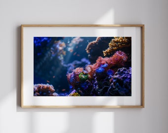 Korallenriff-Kunst-Unterwasserfotografie Ozean-Leben-Wand-Kunst-Geschenk für Ozean-Liebhaber Meeresleben-Kunst für Küstenwand-Dekor Meeresbiologen-Geschenk