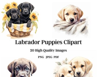 Labrador Puppy Clip Art, 20 High Quality Images, 3 formats, Digital Download, Digital Paper, Invitations, Wall Art, Digital Art, Botanical