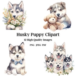 Husky Puppy Clip Art, 12 High Quality Images, 3 formats, Digital Download, Digital Paper, Invitations, Wall Art, Digital Art, Botanical