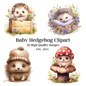 Baby Hedgehog Clip Art Version II, 26 High Quality Images, Digital Paper, Invitations, Wall Art, Digital Art, Botanical, Stickers