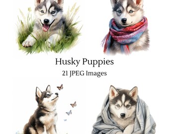 Husky Puppies, Digital Download, Digital Paper, Invitations, Wall Art, Digital Art, Stickers, Sublimation, Clip Art, Transparent