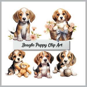 Beagle Puppy Clip Art, 14 Images numériques haute résolution, Papier numérique, Invitations, Art mural, Cartes, Art numérique, Sublimation, Chemises