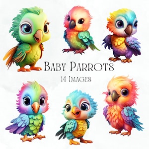 Cute Baby Parrots, Clip Art, Digital, Stickers, Sublimation, Transparent PNG, Commercial Use, 14 High Resolution Images