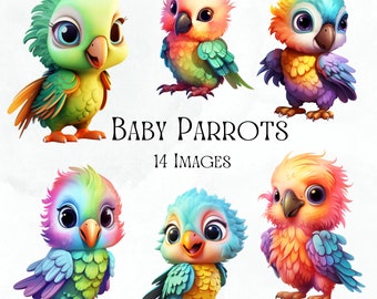 Cute Baby Parrots, Clip Art, Digital, Stickers, Sublimation, Transparent PNG, Commercial Use, 14 High Resolution Images