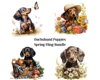 Dachshund Puppy Spring Fling, PNG, Digital Download, Digital Paper, Invitations, Wall Art, Digital Art, Stickers, Sublimation, Clip Art