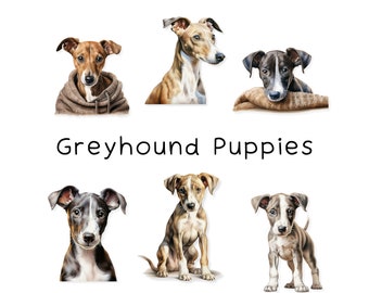Greyhound Puppy, Digital Paper, Invitations, Wall Art, Digital Art, Digital Stickers, Sublimation, Clip Art, Journal, Commercial Use