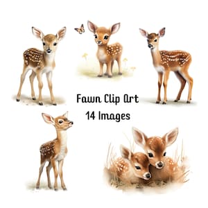 Cute Fawns, Clip Art, Digital, Stickers, Sublimation, Transparent PNG, Commercial Use, 14 High Resolution Images