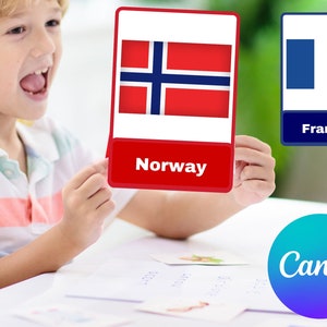 Welt Länder Flaggen Flash Karten / Instant Download / Lern Geographie / Geschichte Kinder Digital