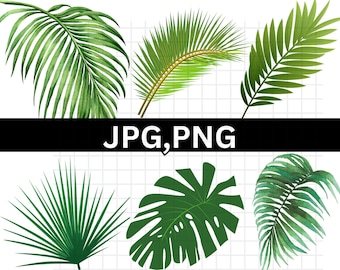 熱帯の葉の SVG バンドル\ モンステラの葉の SVG\ ジャングルの葉のクリップアート\ ヤシの枝の SVG\ デジタル ダウンロード