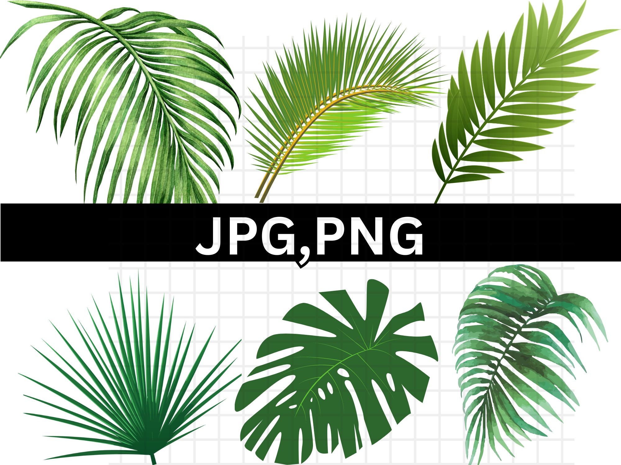 Tropical Leaves Svg Bundle\ Monstera Leaf Svg\ Jungle Leaves Clipart ...