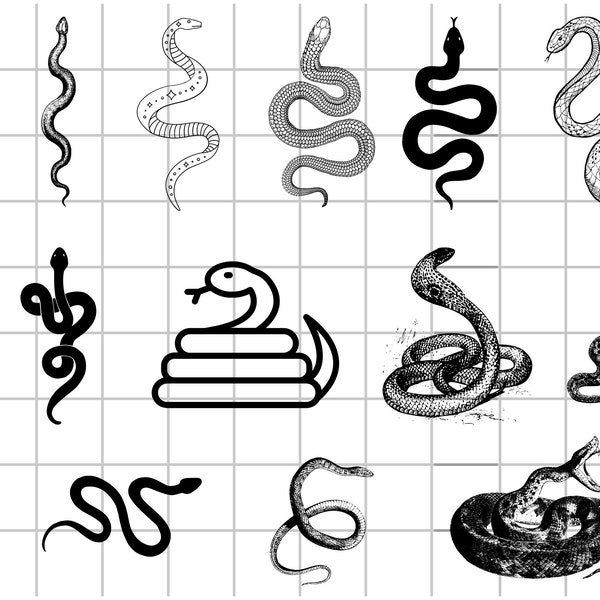 Snake SVG Bundle | Floral Snake SVG | Celestial snake SVG | Snake With Flowers Svg | Mystical Snake Svg | Snake Clipart | Snake Silhouette |