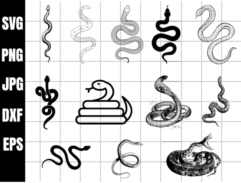 Snake SVG Bundle | Floral Snake SVG | Celestial Snake SVG | Snake With ...