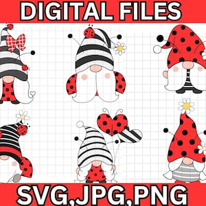 Ladybug Gnomes Png Sublimation Design\ Ladybird Gnomes Png\ Ladybug Gnomes With Daisy Png\ Floral Gnomes Png\ Spring Gnomes Png Downloads