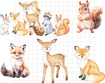 Woodland Animals png\ Cute Animal png bundle\ Forest Animal Cut file Cricut\ Wolf Raccoon Skunk Kangaroo Fox Bear Deer Bunny Bird Silhouette