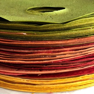Peut inclure: Gros plan sur une pile de tortillas color&eacute;es. Les tortillas sont de diff&eacute;rentes couleurs : vert, orange, rouge et jaune. La tortilla sup&eacute;rieure est verte et perc&eacute;e d'un trou. L'image met en valeur les textures et les couleurs.