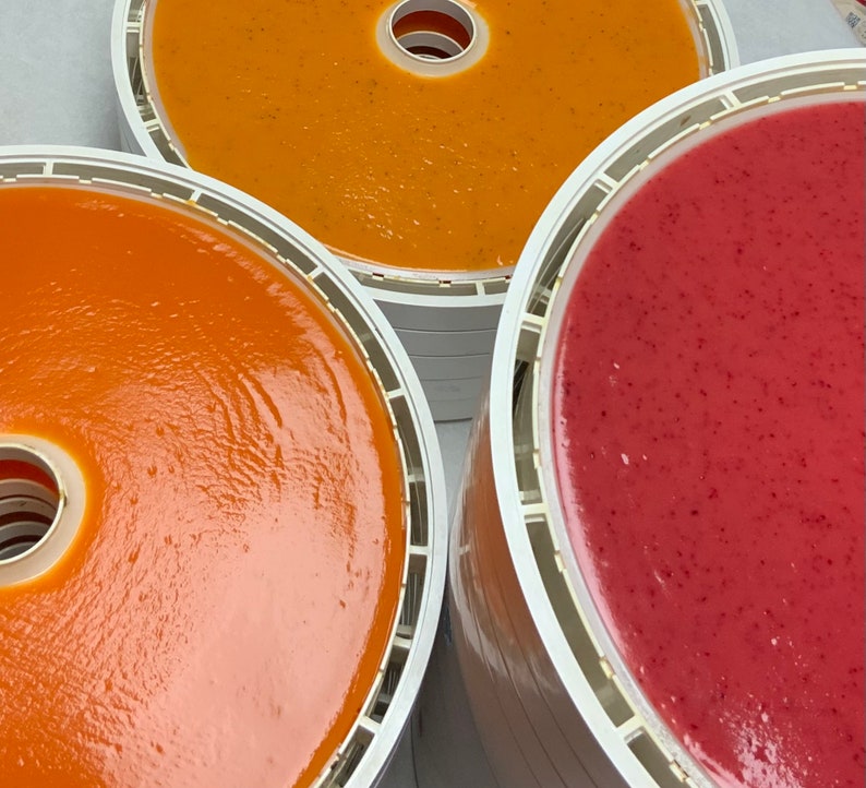Peut inclure: Gros plan sur trois plateaux remplis de cuir de fruits aux tons orange et rouge. Les plateaux blancs ont un trou central circulaire et sont empil&eacute;s. Le cuir de fruit semble lisse et uniform&eacute;ment r&eacute;parti.