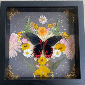 Real Scarlett Mormon Butterfly Resting on a Flower