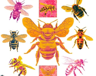 Honey Bee Clipart, Watercolor Bee Clip Art, Cute Bee background, Little Bee Png, Watercolor Bee Art, Bumblebees png, Bees Clipart Bee Print