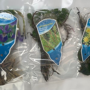 Small Pond Planter Pack + Floater