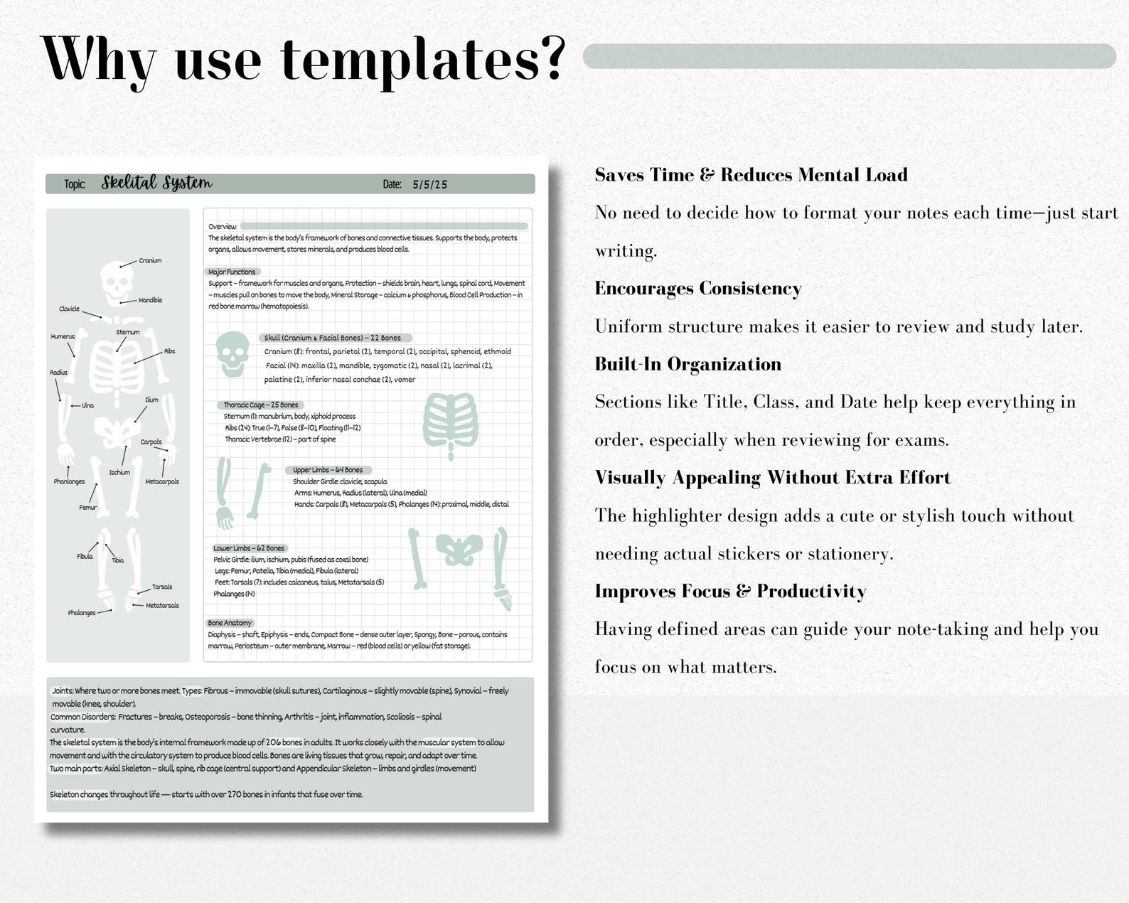 Digital Cornell Note Template Bundle for iPad Note Taking Study ...