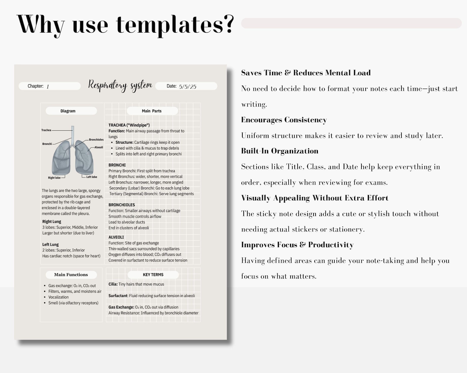 Digital Cornell Note Template Bundle for iPad Note Taking Study ...