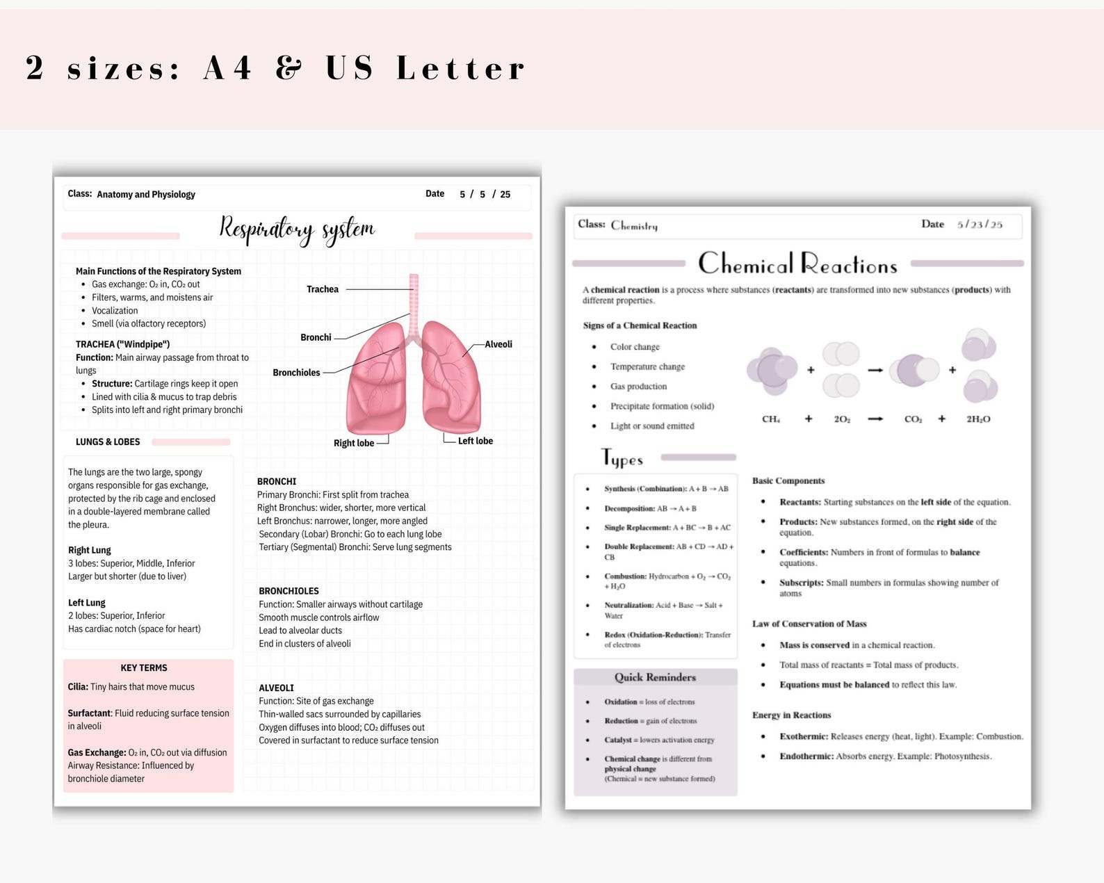 Digital Cornell Note Template Bundle for iPad Note Taking Study ...
