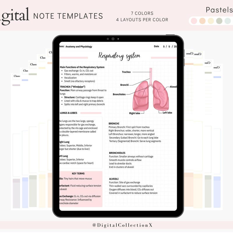 Onenote Templates - Etsy