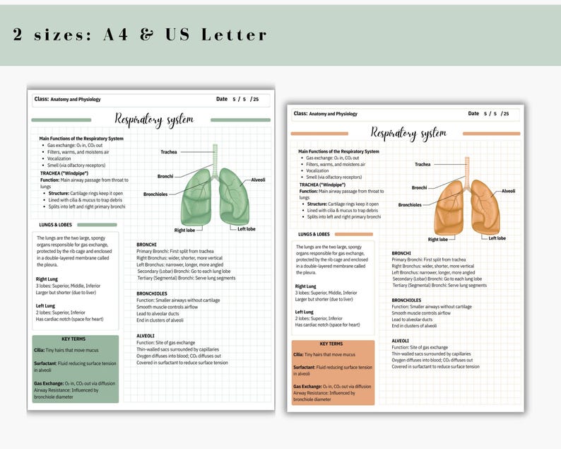Digital Cornell Note Template Bundle for iPad Note Taking Study ...