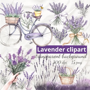 Watercolor Lavender Clipart, Watercolor Provence Clipart, Floral Watercolor Clipart, Lavender Bundle, png, Lavender Flower, Lavender Graphic