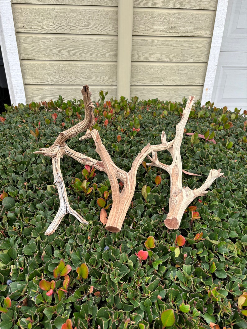 Driftwood Bundle of 3 Weathered Branches Etsy