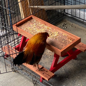 Chicken table feeders