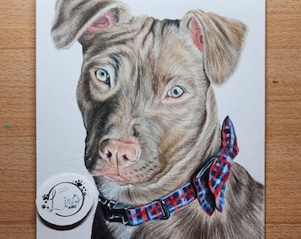 Custom Colored Pencil Pet Portrait