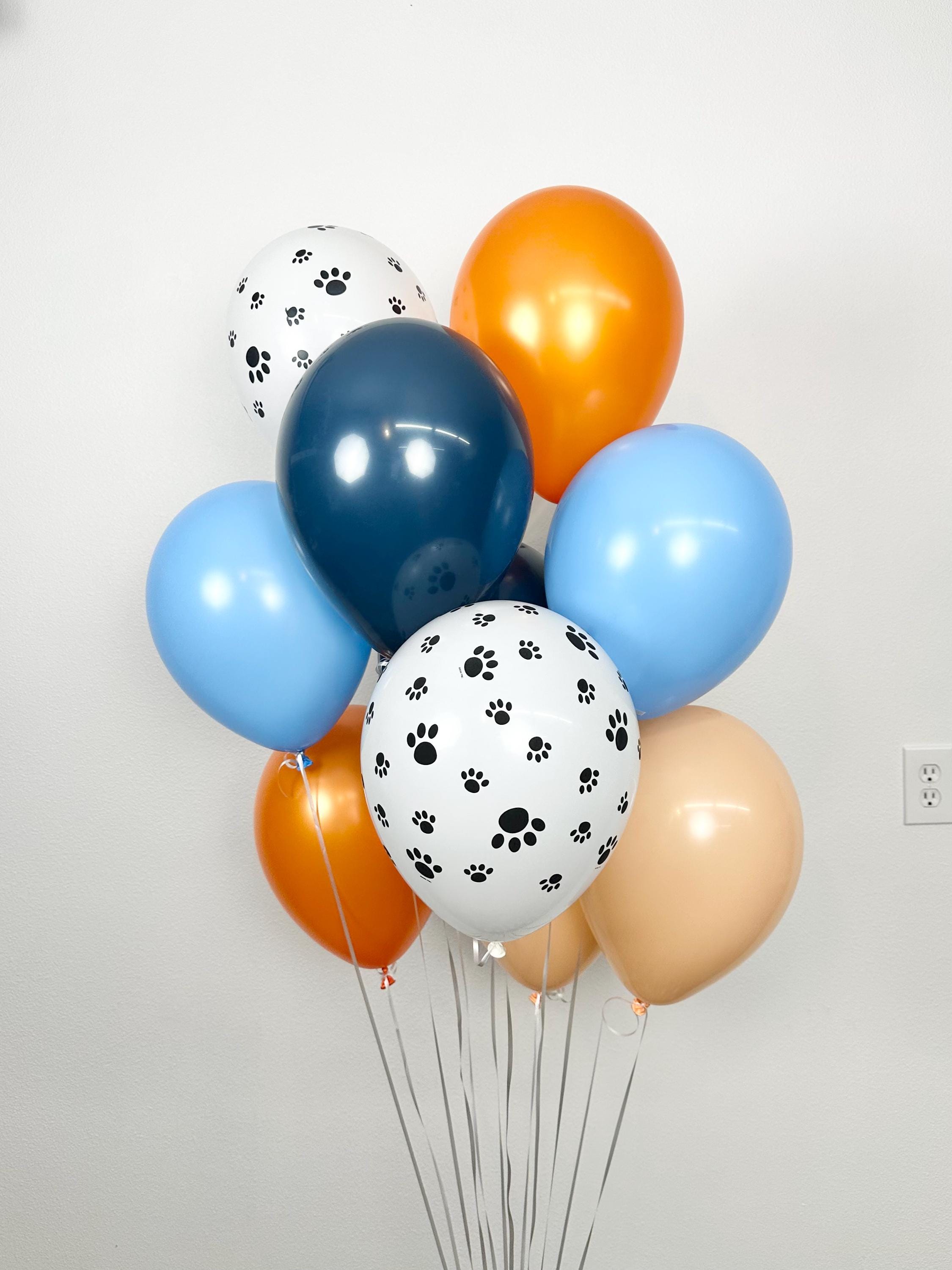 Balloon Bouquet, 11