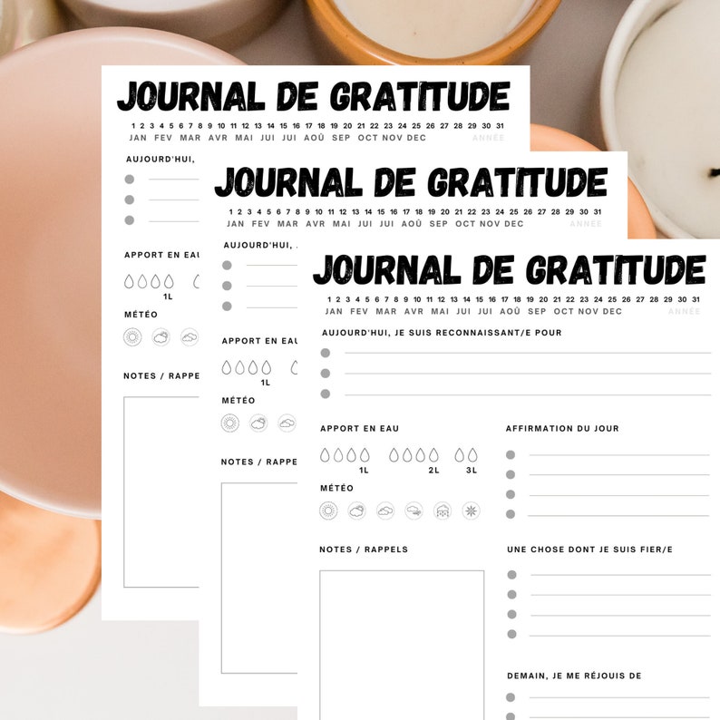 Journal de gratitude imprimable Français image 3