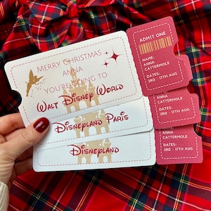 Personalised Christmas Disneyworld Ticket Theme Park Surprise Reveal Ticket, Paris Florida, Christmas Gift Disneyland Boarding Pass