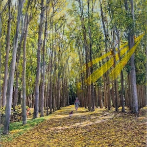 Kauai Mahogany Forest - Fine Art Print, Hawaii, Kent Faulkner