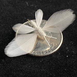 Realistic Moth or White Butterfly - Hi-vis Dry Fly