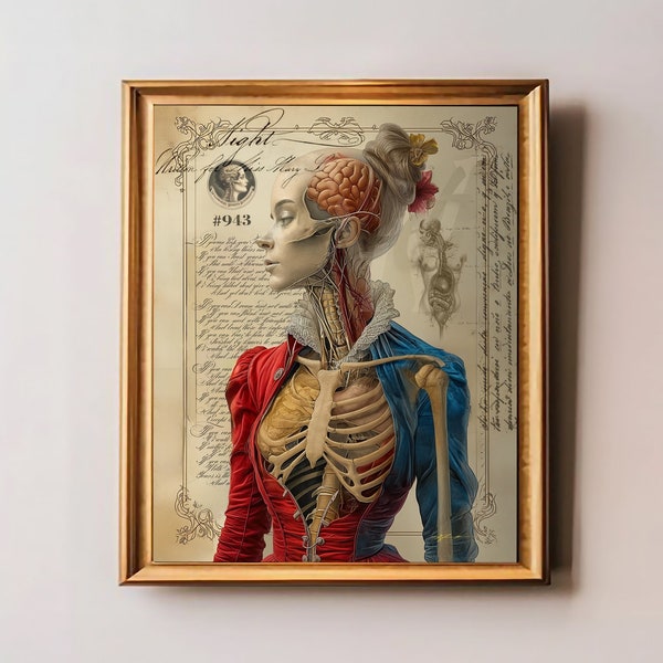 Vintage Medical Oddities Anatomy Wall Decor, Victorian Medical Lithographs, Vintage Medical Myology Print, Dark Academia Aesthetic